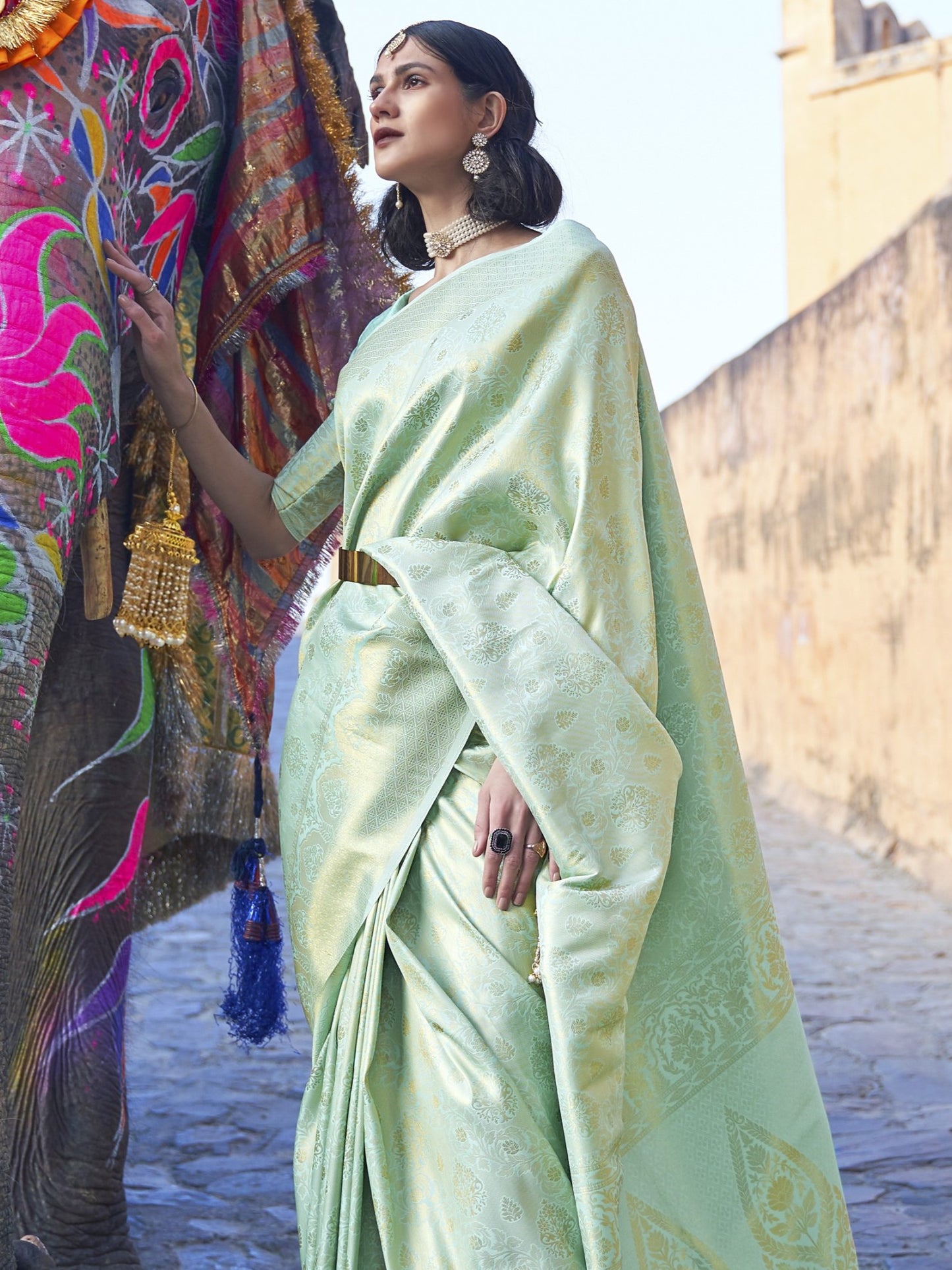 Pastel Cyan Kanjivaram Saree