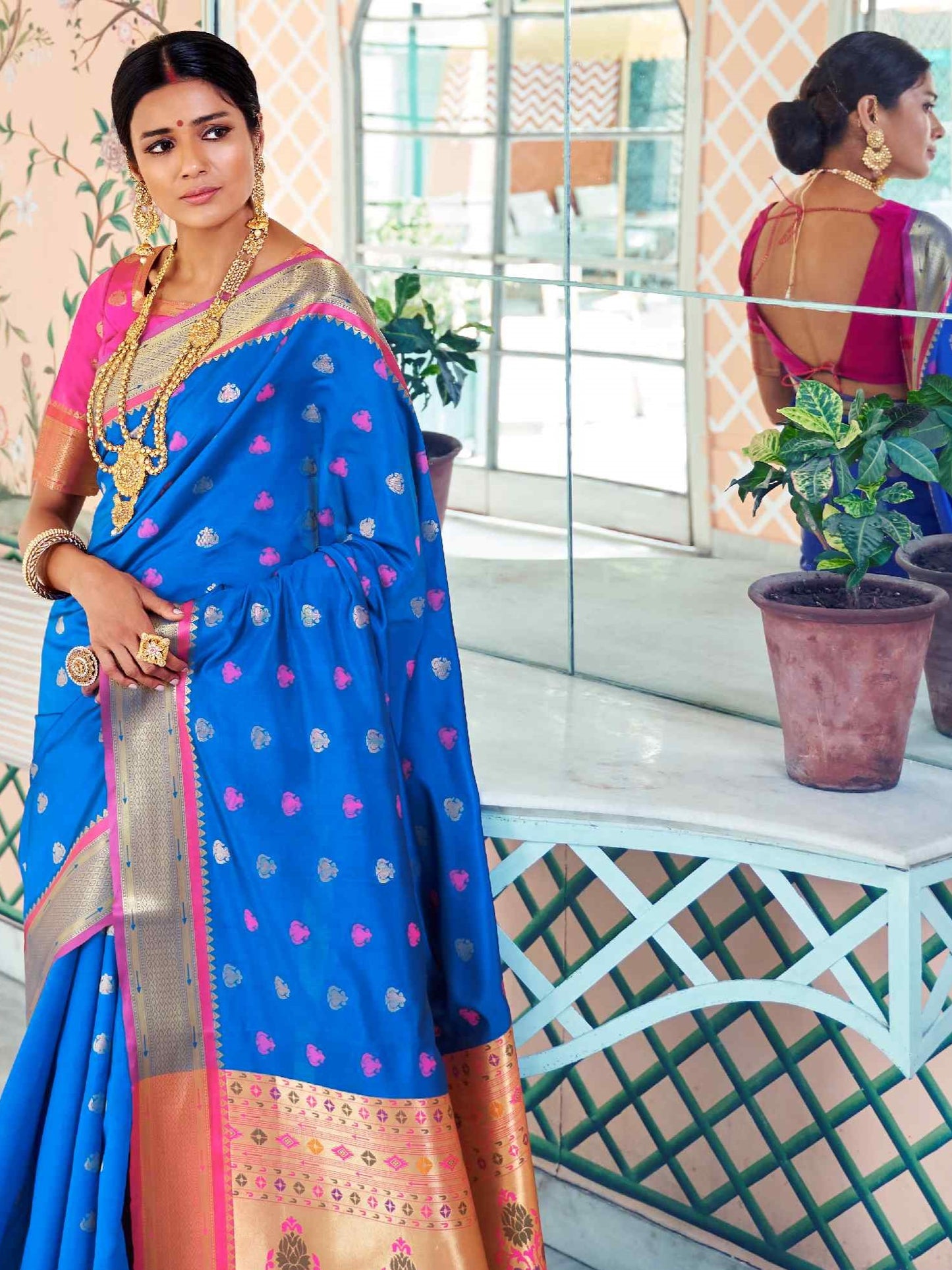 traditional saree